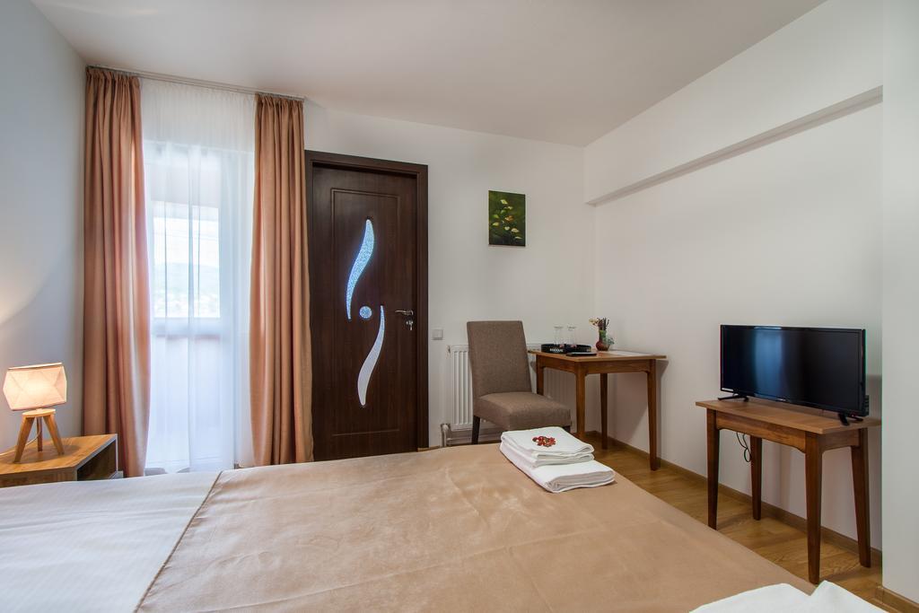 ホテル Casa Arbo Călimăneşti エクステリア 写真